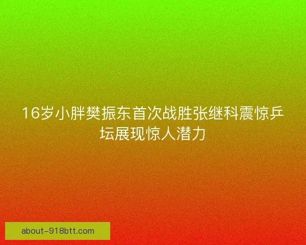 16岁小胖樊振东首次战胜张继科震惊乒坛展现惊人潜力