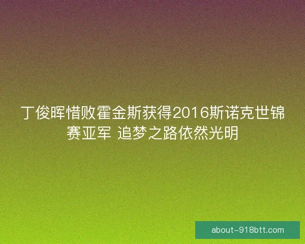 丁俊晖惜败霍金斯获得2016斯诺克世锦赛亚军 追梦之路依然光明 丁俊晖惜败霍金斯获得2016斯诺克世锦赛亚军 追梦之路依然光明
